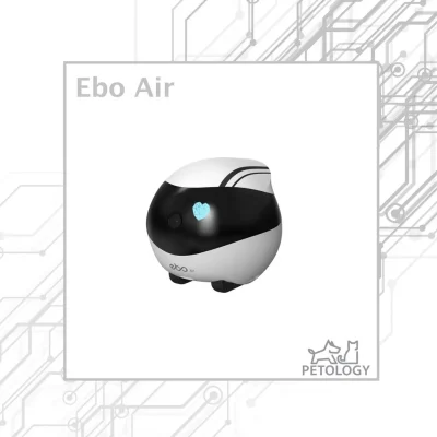 Petology Ebo  AIR สี Size