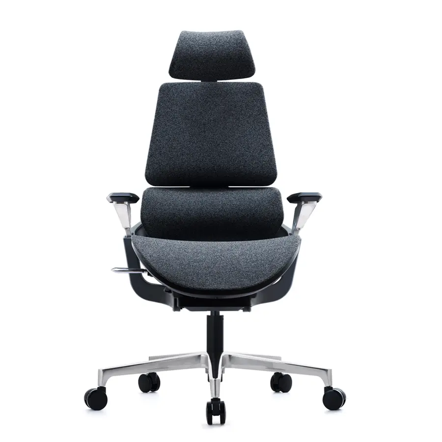 Flexispot By Essen เก้าอี้เพื่อสุขภาพ 67.00cm x 74.00cm ดำ-เทา