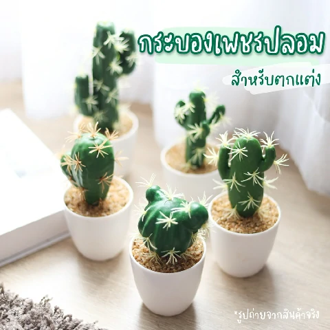 Linlin.Official ต้นกระบองเพชรปลอม