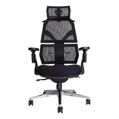 Ergotrend เก้าอี้เพื่อสุขภาพ รุ่น Malmo Black